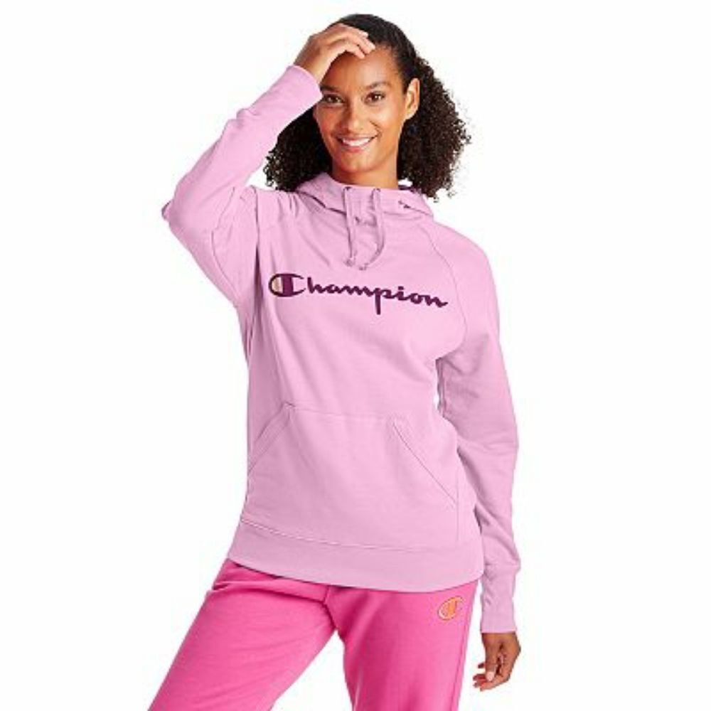 Champion Powerblend Fleece Graphic Hoodie Sz Small